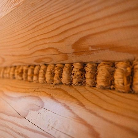 Apartamenty Dwupoziomowe Stasikowe Izby 布库维纳塔然斯卡 外观 照片