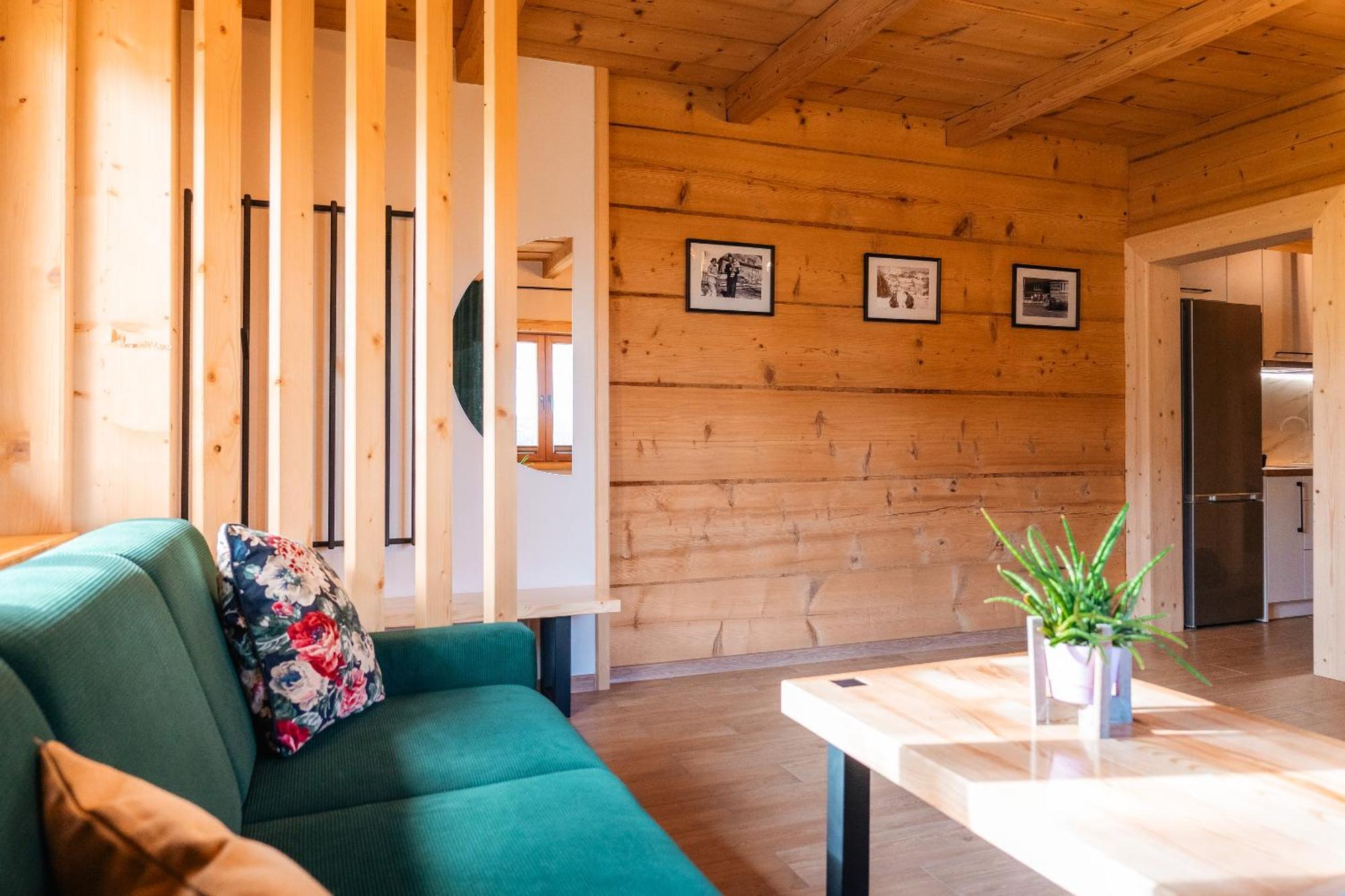 Apartamenty Dwupoziomowe Stasikowe Izby 布库维纳塔然斯卡 外观 照片